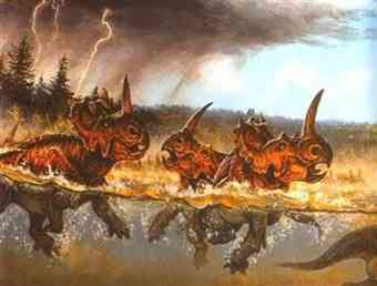 A herd of centrosaurs (a type of horned dinosaur) drowning in a flood millions of years ago in what is now Alberta, as depicted in this illustration. They left behind what could be the world's largest dinosaur graveyard.