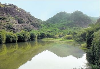 [2008121850470401[5].jpg]