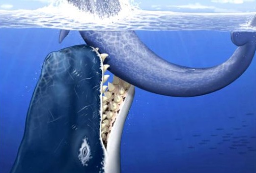 [prehistoric-moby-dick-100630-02_doomsday_604x341[6].jpg]