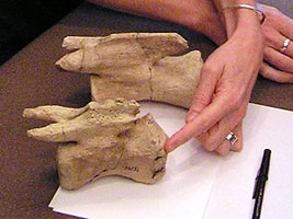 [20100705_k_39[5].jpg]