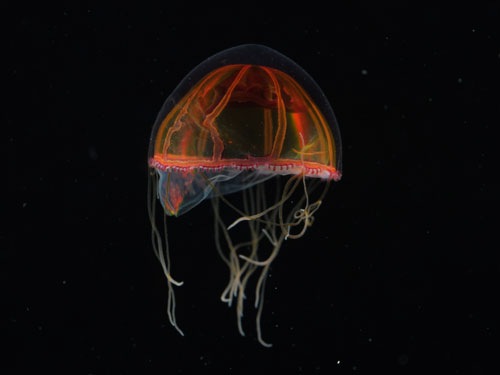 [00393039c44[5].jpg]