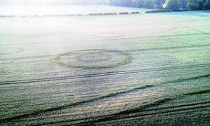 [13om05circles.jpg.display[5].jpg]