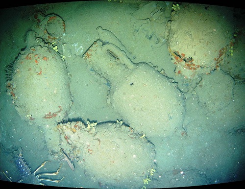 [Amphoras[5].jpg]