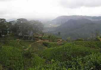 Central Highlands in Sri Lanka