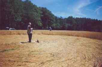 Crop Circles