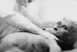 [alienautopsy_03[5].jpg]
