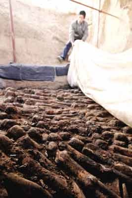 [P201008111532561288547941[5].jpg]