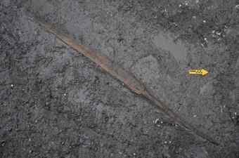 A wooden oar unearthed from beneath a shell mound in Changnyeong
