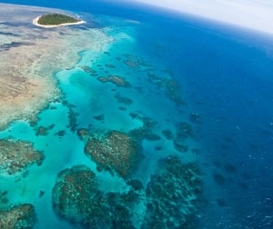 [mg20727744.000-2_300[5].jpg]