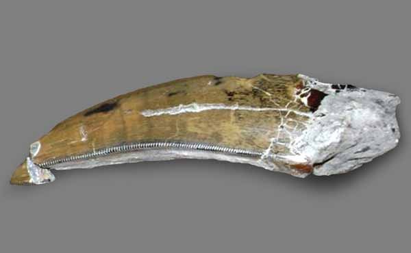 [3432789.bin[5].jpg]