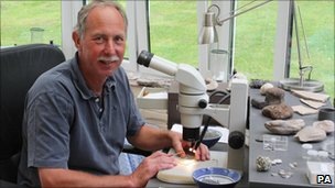 [_48848072_stevedino[5].jpg]