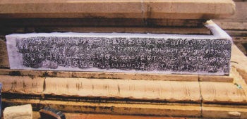 [2010083055030501[5].jpg]