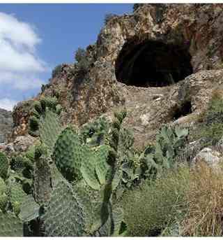The researchers uncovered the evidence at Hilazon Tachtit Cave - a burial site in the Galilee region of northern Israel 