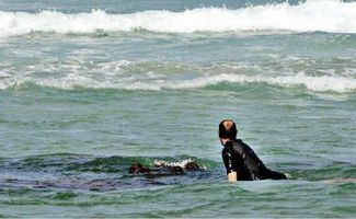 [LNS_13-09-2010_EGN_06_LNS1306XX_fct458x282x42_t325[5].jpg]