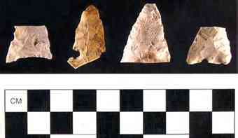 These prehistoric weapons points, seen with a metric scale, were unearthed by archaeologists at the site.