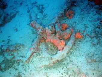 The sunken anchor from a shipwreck recently found under the Mediterranean Sea. RPM Nautical Foundation
