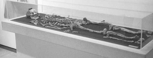 [skeleton-display-13-100913-02[7].jpg]