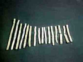 So-called 'Oracle bones' of the Shang Dynasty (16th-11th century BC) unearthed in Yin ruins .