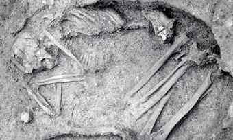 A skeleton, nicknamed the 'Leanderthal Lady,' was found on a plot that belonged to the Wilson Land and Cattle Co., which let the Archaeological Conservancy use the land for almost two decades. 