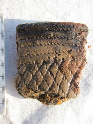 [6a00d8341bf67c53ef0133f4e9307e970b-320wi[5].jpg]