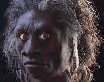 The reconstructed face of Homo floresiensis 