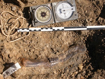 [oneoffrances[5].jpg]