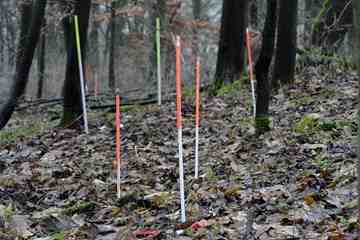 Evidently the Romans and Germans fought a bloody battle in the third century AD, archaeologists say. Some 1,000 Roman legionnaires are believed to have been involved. 