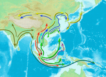 Asia was populated by two waves of migration. One wave was from Southeast Asia, called the Southern route, and the second from Central Asia, called the Northern route.