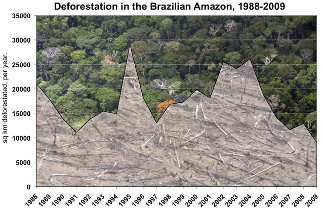 [braz_defor_88-05-lrg[6].jpg]