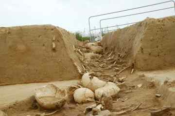 The Herxheimers had a tradition of turning the humans skulls into vessels by chipping away at the front, the back and the sides. 