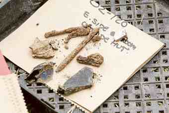 Some of the finds from the 1820s-style cottage (detail).