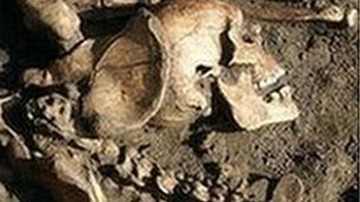 York is citing the importance of archaeological finds in its application.
