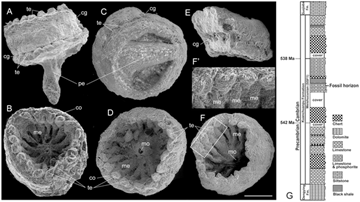 Figure 1 from Han et al. 2010 and redistributed under a CC license.