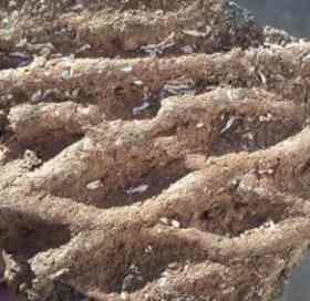 Close-up of shard of grooved pottery.