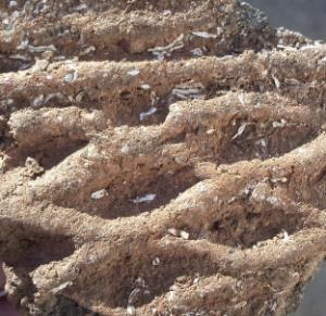 [zwgs6941h10 pottery shard.jpg.display[5].jpg]