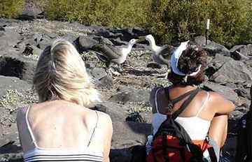Tourists observe an albatross nesting site in the Galapagos Islands.
