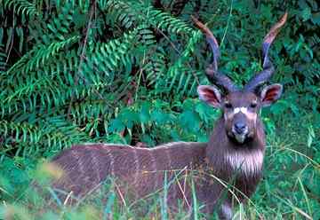 Time to halt the loss of biodiversity.