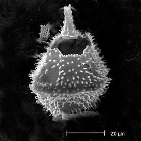 [the-heat-was-on-atmospheric_1[4].jpg]