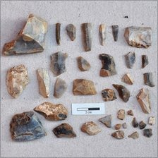 [_49846587_someoftheflints[5].jpg]