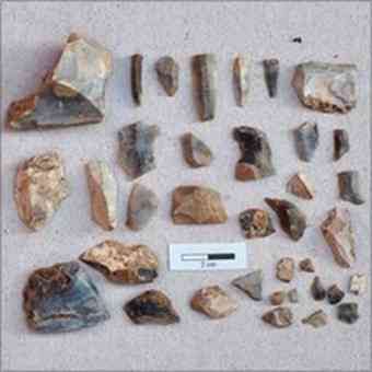 The flints are thought to be 6,500 to 7,500 years old