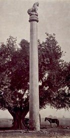 [Ashoka-pillar-at-Lauriya-001[9].jpg]