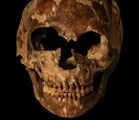 The fossilized skull of a 90,000- to 100,000-year-old Homo sapiens child appears in this photo. 
