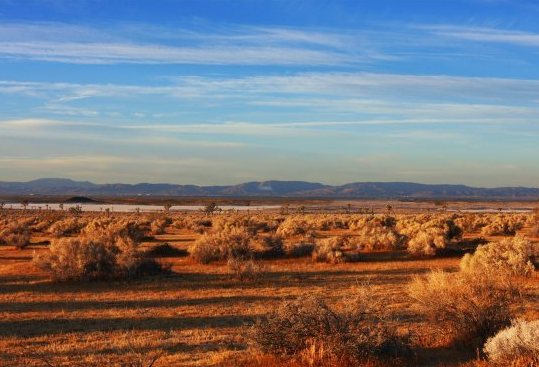 [12 Lost Treasures You Can Still Look For (PHOTOS)_1290163626521[5].png]