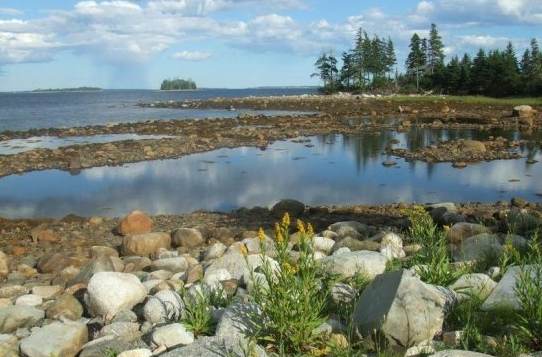 [12 Lost Treasures You Can Still Look For (PHOTOS)_1290162708499[5].png]