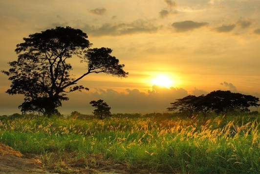 [12 Lost Treasures You Can Still Look For (PHOTOS)_1290163328421[5].png]