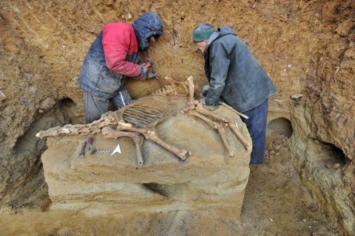 [ALeqM5gXzSH4bGe1_Itfi0-8elbrOGKGNA[5].jpg]