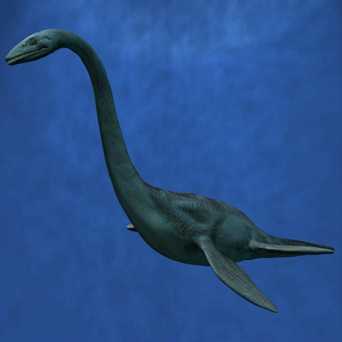 [plesiosaur_4_large[5].jpg]