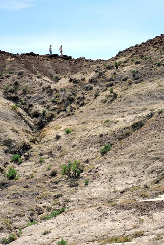 [9086619-standard[5].jpg]