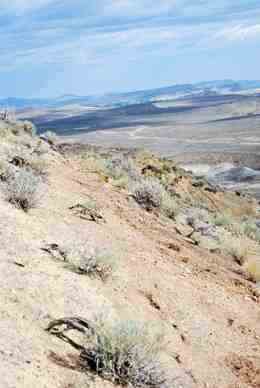 A view from a Lance Formation site in southern Montana. It doesn't look like much, but there are dinosaurs in this hillside. Photo by Brian Switek.
