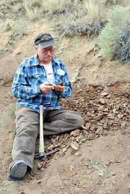 David Parris examines amber from fossilized tree sap at a Lance Formation site in Montana. Photo by Brian Switek.